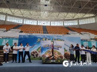 萌宠集结撒欢！这场超治愈的夏日萌宠运动会嗨翻遵义