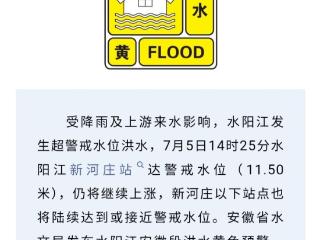 水阳江2026年第1号洪水形成