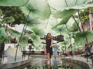 夏日浪漫 荷花市集