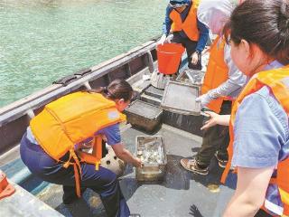 同安区检察院获评全省先进基层检察院