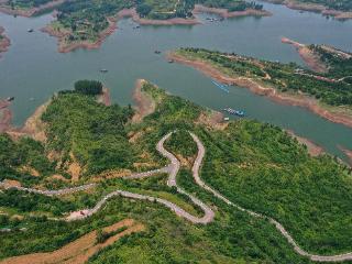 一路串山水 路网兴百业 洛阳绘就乡村振兴好“丰”景