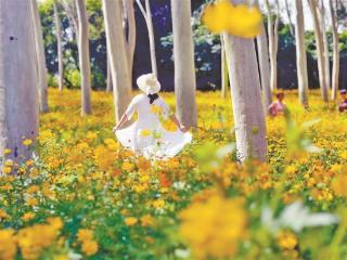 今明两天鹭岛继续多云为主 局部地区或有雷阵雨“突袭”
