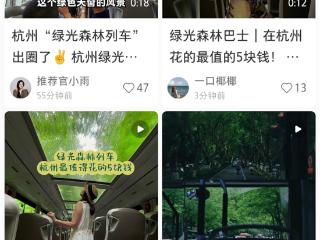 5元就能奔赴西湖绿野！全景天窗的双层巴士“绿光森林”火了！