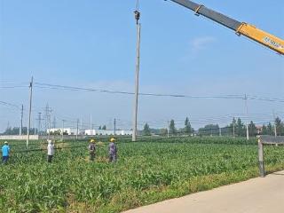 与时间赛跑 单县联通快速抢修风灾受损线路保障网络畅通