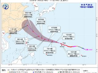 闻“风”而动！浙江各地提前备好台风巴威“防护盾”