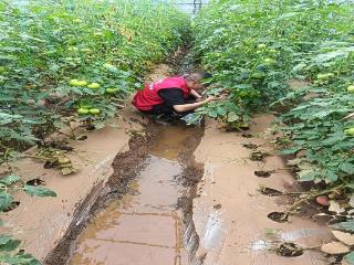 人保财险毕节分公司：筑牢农业生产“防护网”