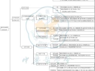 痛风降尿酸药伤肾吗？肾功能不全患者该如何选择降酸药？
