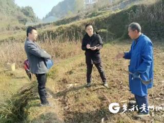 产学研融 智赋地方 | 山乡里的“新”医者——遵义医科大学驻村干部群像记①