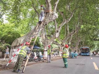杭州备战台风“巴威”加固树木、水库泄洪、景区关闭