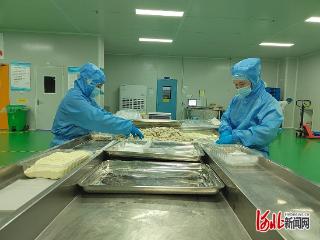 我们的田野｜AI设计师，让红枣变身零食爆款
