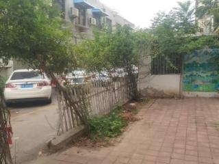 济宁市任城区仙营街道南岱社区：藤蔓挡路惹人烦，清枝除障畅通居民出行路