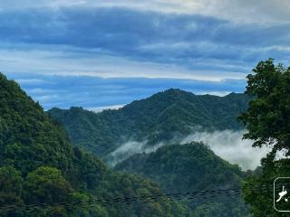 安徽唯一省级试点市解码：看林业碳汇如何让片片山林变现为座座“绿色银行”