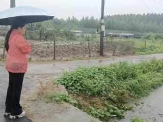 临沂沂河新区凤凰岭街道驻村第一书记奋战防汛一线