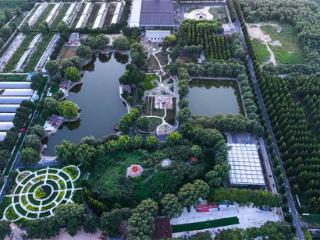 京南·永清“印象里”：串珠成链激活县域消费新引擎
