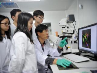肽源集团全链路赋能OTC美妆赛道：以制药级能力，重构皮肤健康零售新生态