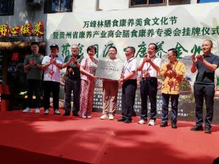 万峰林膳食康养美食文化节暨膳食康养专委会挂牌仪式举行