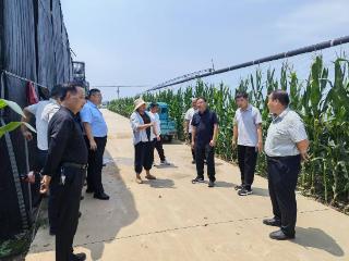 临沭县大兴镇第一书记：取经先进谋发展 淬炼党性促振兴