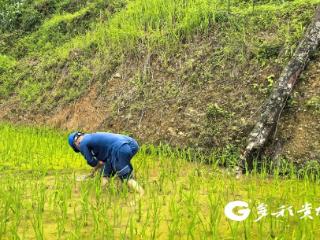 南方电网兴义望谟供电局：闻汛而动保供电 全力以赴助复产