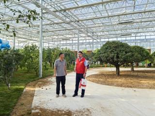 烟台农商银行引金融活水兴全域文旅 以精准服务扩内需动能