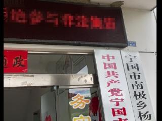 安徽一村委会门口灯箱现一米长燕巢 村支书：从未见过这么大的燕子窝