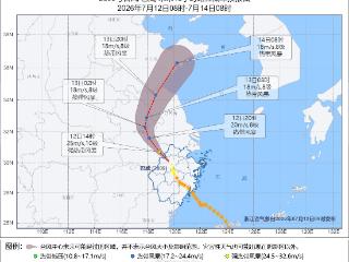 风雨中他们彻夜坚守，护城市一方安宁