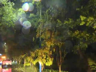 鏖战风雨！浙江多地极速清障抢通，守护群众出行平安