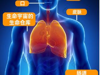 脑梗后遗症康复难？宝叶复能生命医院：以整体复能重启生命状态