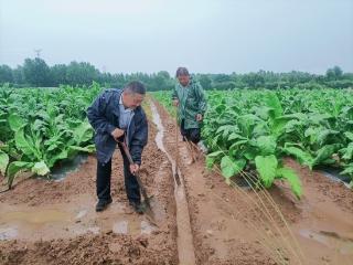 日照岚山：直面“巴”雨风“威” 全域护产保收