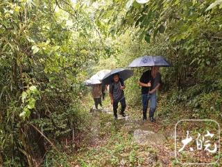 被山蚂蟥咬也无暇顾及，镇村干部风雨中转移老人