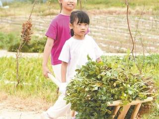 早上送娃进田野傍晚接回家 “暑托式”农场自然营升温