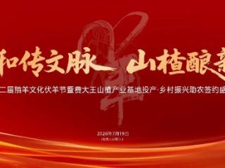 2026费县第二届羵羊文化伏羊节，7月19日火热来袭！