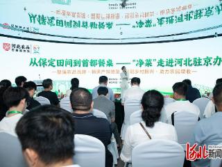 河北净菜进京暨“保定净菜”展销对接活动圆满举办