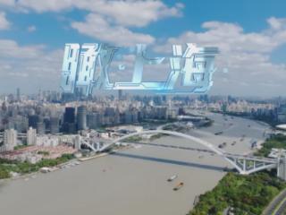 时政微视频丨瞰上海
