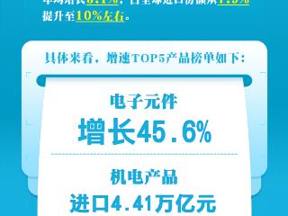 上半年进口超10万亿元，增速TOP5榜单来了