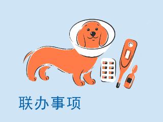 5件事一次办，河南省开办宠物医院“一件事”上线