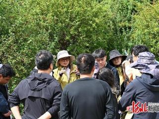 河北省花卉创新团队成员赴西藏开展林草种质普查与收集内业整理技术培训
