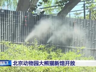 “萌兰”新家正式迎客 多场地轮换观赏更有趣