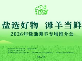 盐池请全国人民吃羊——“盐选好物 滩羊当鲜”推介活动本周末亮相银川凤凰幻城