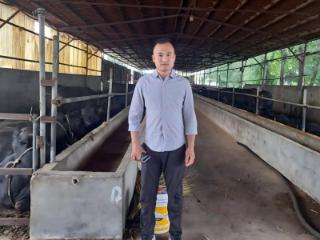 济南市莱芜区方下街道台头村返乡青年马超越：以美德信用为笔 绘就乡村振兴“牛”路子