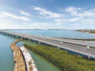集美大桥周边岸线慢行系统工程板梁施工 预计年底完工