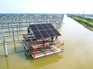 碧波之上“种”太阳！这群新能源建设者把光伏板“拼”成艺术品