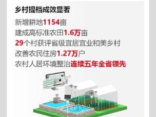 盐城盐都：“农”墨重彩绘振兴