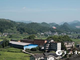 研学践初心 贵州农职学子走进绥阳汲取奋进力量