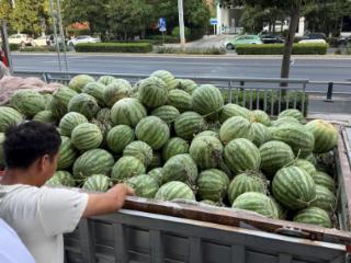 豫见甘甜 助农纾困 富德生命人寿河南分公司爱心助农彰显金融担当