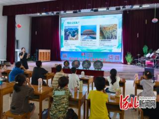 石家庄市新华区杜北街道：书香伴暑假 非遗润童心