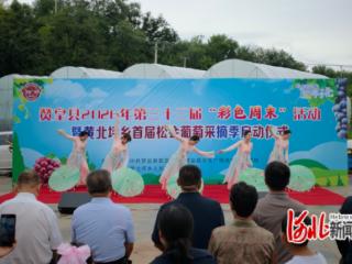 赞皇县松会村葡萄采摘季点亮彩色周末