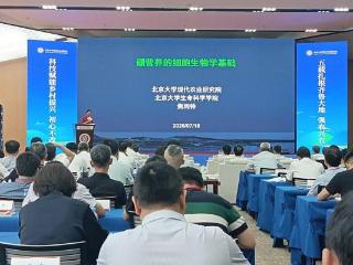 百年谜题一朝解：北大农研院焦雨铃团队公布硼营养突破性成果